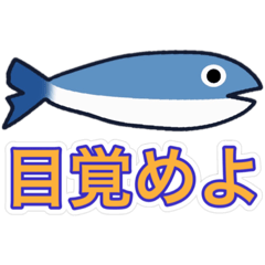 魚雨天くん2