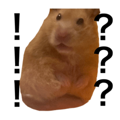 太陽で焼いた肉は旨い