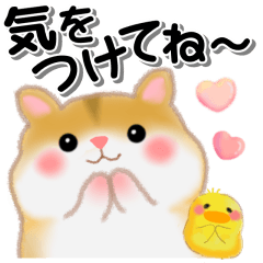 家族の連絡・ハムスター「ハムたん」