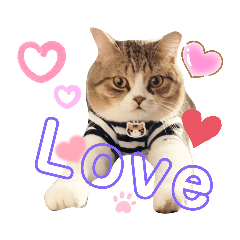 Abby & Cinnamon cuteeee