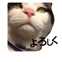 チロルとうしえちゃん