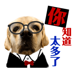 vivian_20220111234812