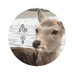 鹿のスタンプ奈良県
