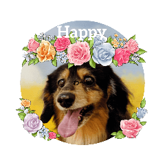 ラブリーあんこはん♡