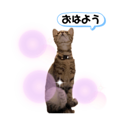 つくしんぼう誕生