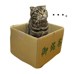 もこちゃんえるちゃん2