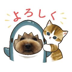 かわいいみなめいすたんぷ