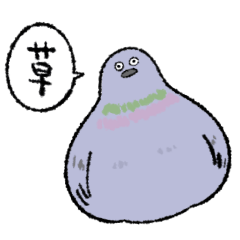 人間の言葉を真似る野鳥たち