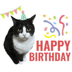 ルークとタルトのスタンプ2