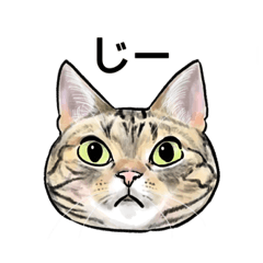 猫の絵スタンプ。②