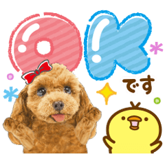 飛び出す❤️かわいい犬❤️プードル