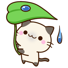 ちびシャム☆梅雨から初夏