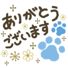 夏のシンプルな大人可愛い肉球