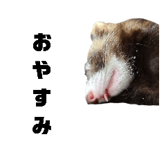 どんぐりスタンプ࿉