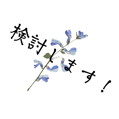 地味に必要な言葉