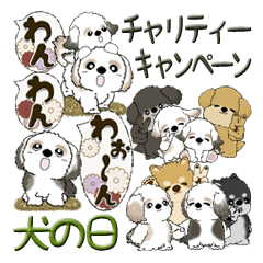 【Big】シーズー犬『よく使う言葉』初冬