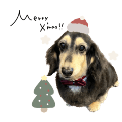 くうちゃん♡年末年始ver