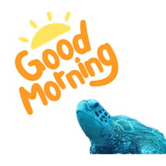 海の生き物たち#