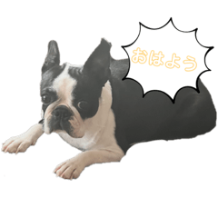 ぽよと愉快な仲間達