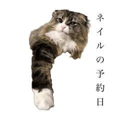 ティグ＆メイ㉜