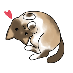 吾輩は猫のぼうちゃんである