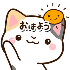 やさしいミケ☆どアップ