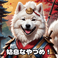 サモエド侍