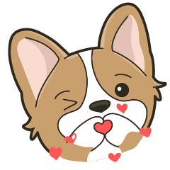 Bean the Corgi cuteness overload