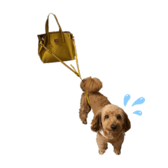 らてさんスタンプ☺︎