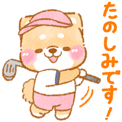 ゴルフする❤️いやしばいぬ❤️柴犬/父の日