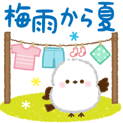 【梅雨から夏】ふっくら♡シマエナガさん