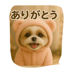 シーズー着ぐるみスタンプ