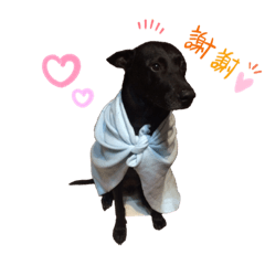 Sherry_20250525200345