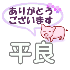 平良「たいら」さん専用。日常会話