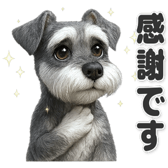 【敬語】使いやすい！シュナウザー