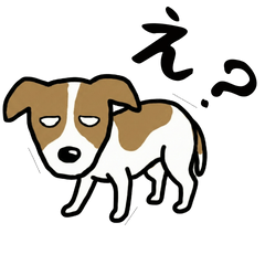 うちのジャックラッセルテリア2