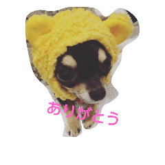 おとちゃんLove2