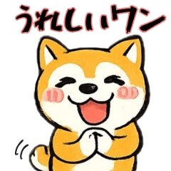 Daily life of a Shiba Inu puppy