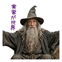 300年実家暮らしの魔法使い