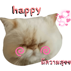 chanyapat_20260404102708