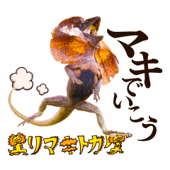 イッテQ！珍獣スタンプ　オーストラリア編