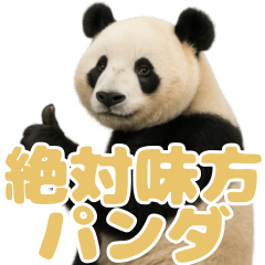 絶対味方パンダ １３ ハニーベージュ