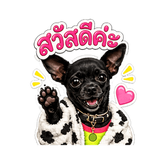 Chaokuay the Adorably Cute Little Puppy