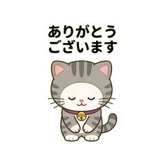 まるもん６