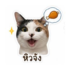 M4y_0.x_20260501144000
