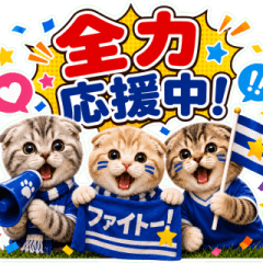全力応援☆サッカーにゃんこ