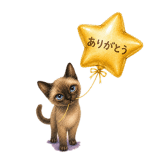 ねこ　バルーンエトセトラ！