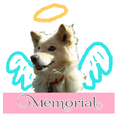 リキとトラ -追悼実写版-