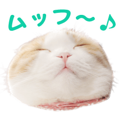 うなぎとぽんちょ