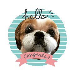 ぼくしーずーです2